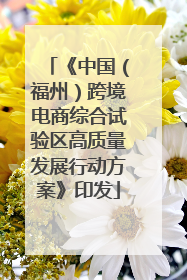 《中国（福州）跨境电商综合试验区高质量发展行动方案》印发