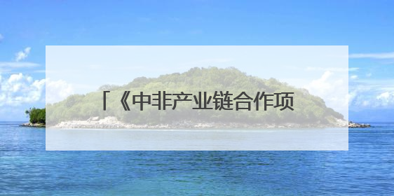 《中非产业链合作项目落地实施方案总纲》发布 数字化平台赋能非洲发展驶入快车道