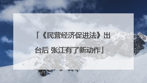 《民营经济促进法》出台后 张江有了新动作