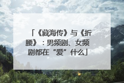 《藏海传》与《折腰》：男频剧、女频剧都在“爱”什么