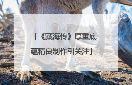 《藏海传》厚重底蕴精良制作引关注