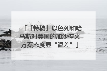 「特稿」以色列和哈马斯对美国的加沙停火方案态度显“温差”