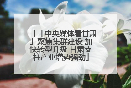 「中央媒体看甘肃」聚焦集群建设 加快转型升级 甘肃支柱产业增势强劲