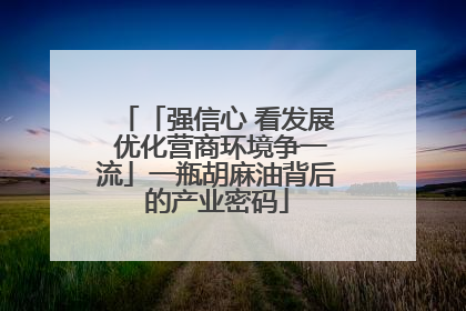 「强信心 看发展 优化营商环境争一流」一瓶胡麻油背后的产业密码