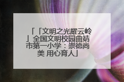 「文明之光耀云岭」全国文明校园曲靖市第一小学：崇德尚美 用心育人