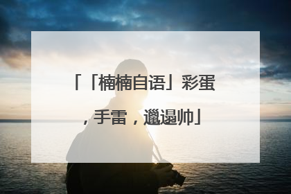 「楠楠自语」彩蛋，手雷，邋遢帅