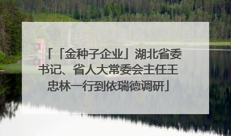 「金种子企业」湖北省委书记、省人大常委会主任王忠林一行到依瑞德调研