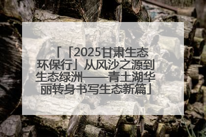 「2025甘肃生态环保行」从风沙之源到生态绿洲——青土湖华丽转身书写生态新篇