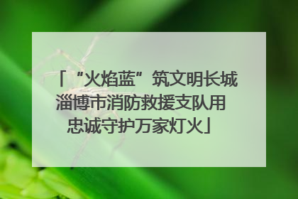 “火焰蓝”筑文明长城 淄博市消防救援支队用忠诚守护万家灯火