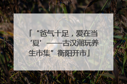 “爸气十足，爱在当‘夏’——古汉潮玩养生市集”衡阳开市
