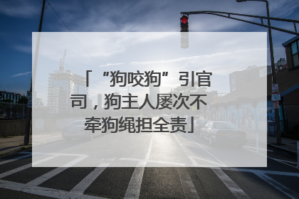 “狗咬狗”引官司，狗主人屡次不牵狗绳担全责