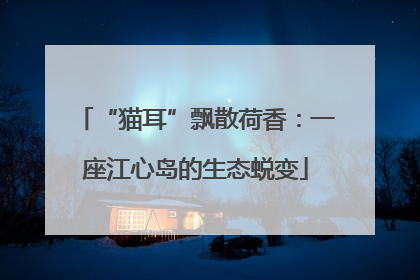 “猫耳”飘散荷香：一座江心岛的生态蜕变