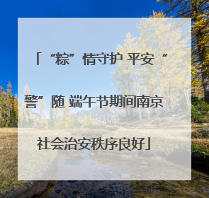 “粽”情守护 平安“警”随 端午节期间南京社会治安秩序良好