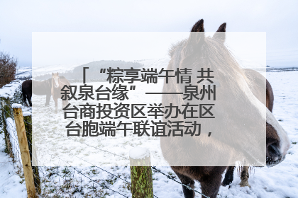 “粽享端午情 共叙泉台缘”——泉州台商投资区举办在区台胞端午联谊活动，共话同源深情