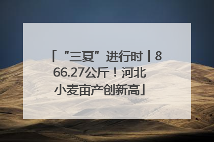 “三夏”进行时丨866.27公斤！河北小麦亩产创新高