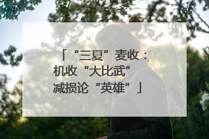 “三夏”麦收：机收“大比武” 减损论“英雄”