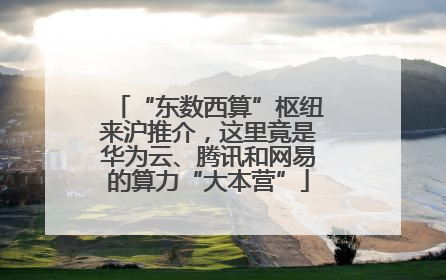 “东数西算”枢纽来沪推介，这里竟是华为云、腾讯和网易的算力“大本营”