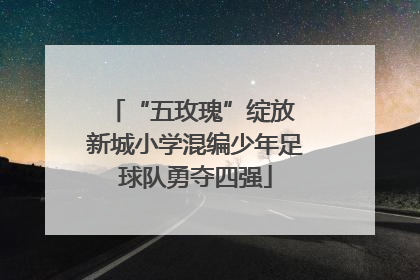 “五玫瑰”绽放 新城小学混编少年足球队勇夺四强