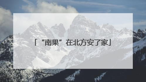 “南果”在北方安了家