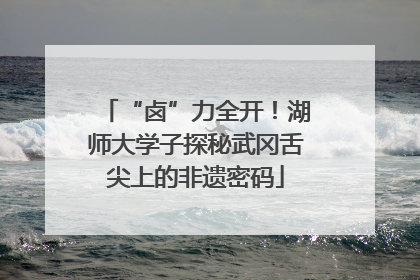 “卤”力全开！湖师大学子探秘武冈舌尖上的非遗密码