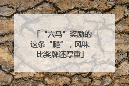 “六马”奖励的这条“腿”，风味比奖牌还厚重
