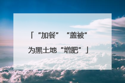 “加餐”“盖被” 为黑土地“增肥”