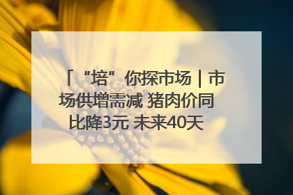 “培”你探市场｜市场供增需减 猪肉价同比降3元 未来40天便宜猪肉敞开吃