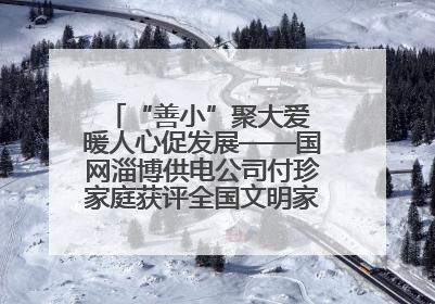 “善小”聚大爱 暖人心促发展——国网淄博供电公司付珍家庭获评全国文明家庭背后的文明密码