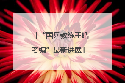“国乒教练王皓考编”最新进展