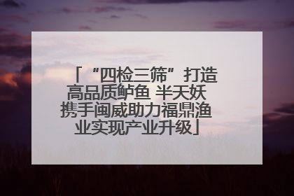 “四检三筛”打造高品质鲈鱼 半天妖携手闽威助力福鼎渔业实现产业升级
