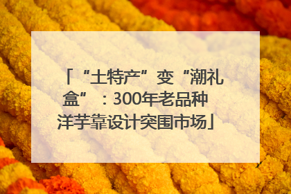 “土特产”变“潮礼盒”：300年老品种洋芋靠设计突围市场