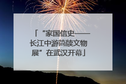 “家国信史——长江中游简牍文物展”在武汉开幕