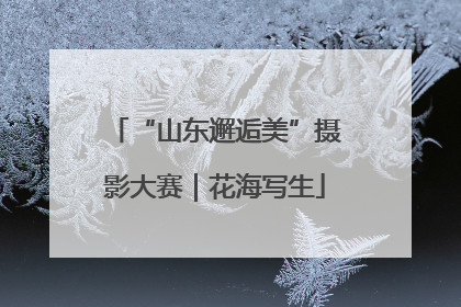 “山东邂逅美”摄影大赛｜花海写生