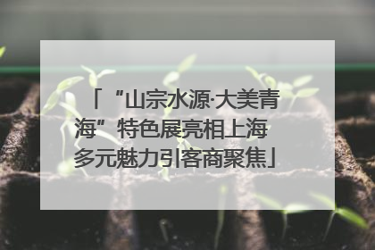 “山宗水源·大美青海”特色展亮相上海 多元魅力引客商聚焦