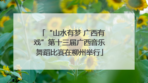 “山水有梦 广西有戏”第十三届广西音乐舞蹈比赛在柳州举行