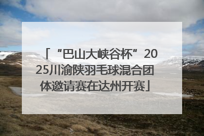 “巴山大峡谷杯”2025川渝陕羽毛球混合团体邀请赛在达州开赛