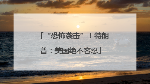 “恐怖袭击”！特朗普：美国绝不容忍