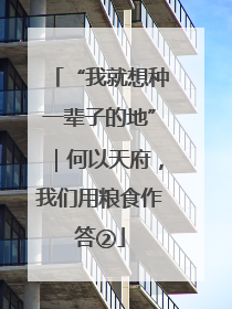 “我就想种一辈子的地”｜何以天府，我们用粮食作答②