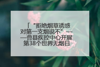 “拒绝烟草诱惑 对第一支烟说不”——曹县疾控中心开展第38个世界无烟日科普宣传活动