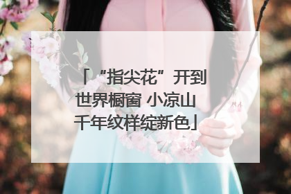 “指尖花”开到世界橱窗 小凉山千年纹样绽新色