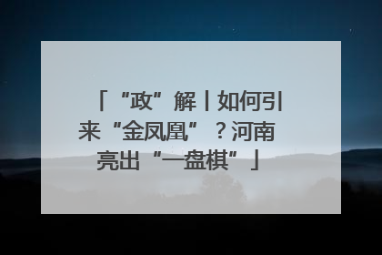 “政”解丨如何引来“金凤凰”？河南亮出“一盘棋”