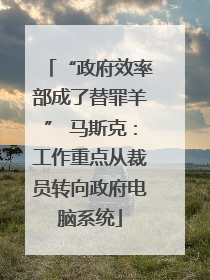 “政府效率部成了替罪羊” 马斯克：工作重点从裁员转向政府电脑系统