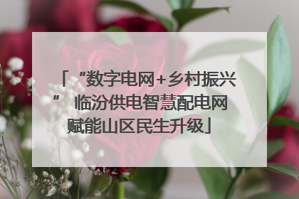 “数字电网+乡村振兴” 临汾供电智慧配电网赋能山区民生升级