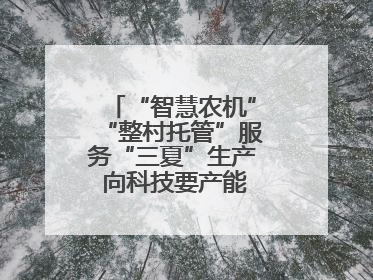 “智慧农机”“整村托管”服务“三夏”生产 向科技要产能筑牢丰产基础