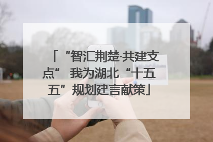 “智汇荆楚·共建支点” 我为湖北“十五五”规划建言献策