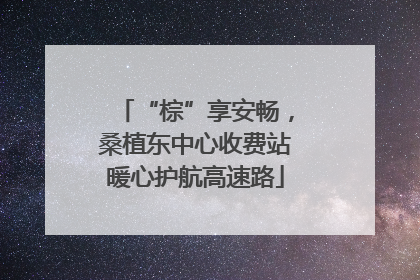 “棕”享安畅，桑植东中心收费站暖心护航高速路