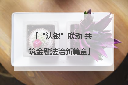 “法银”联动 共筑金融法治新篇章