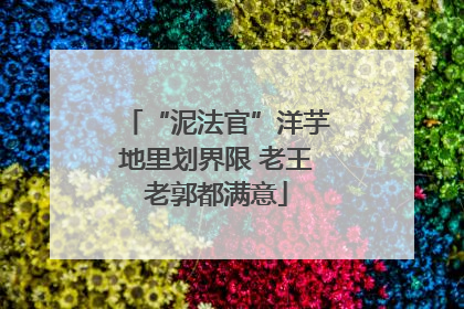 “泥法官”洋芋地里划界限 老王老郭都满意