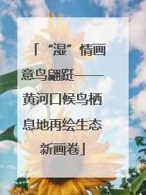 “湿”情画意鸟翩跹——黄河口候鸟栖息地再绘生态新画卷