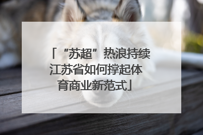 “苏超”热浪持续 江苏省如何撑起体育商业新范式
